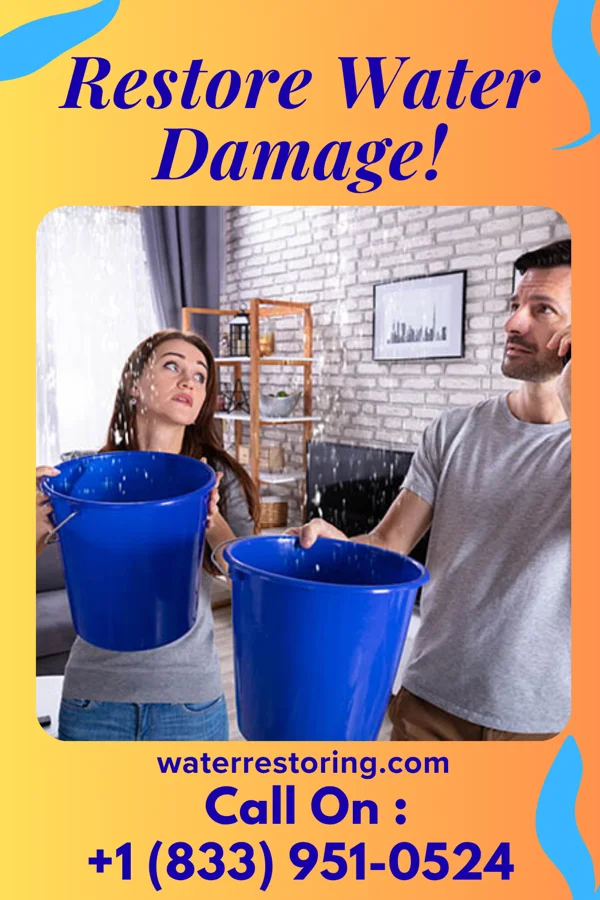 water restoration Classic Extraction Solutions Loyalhanna
